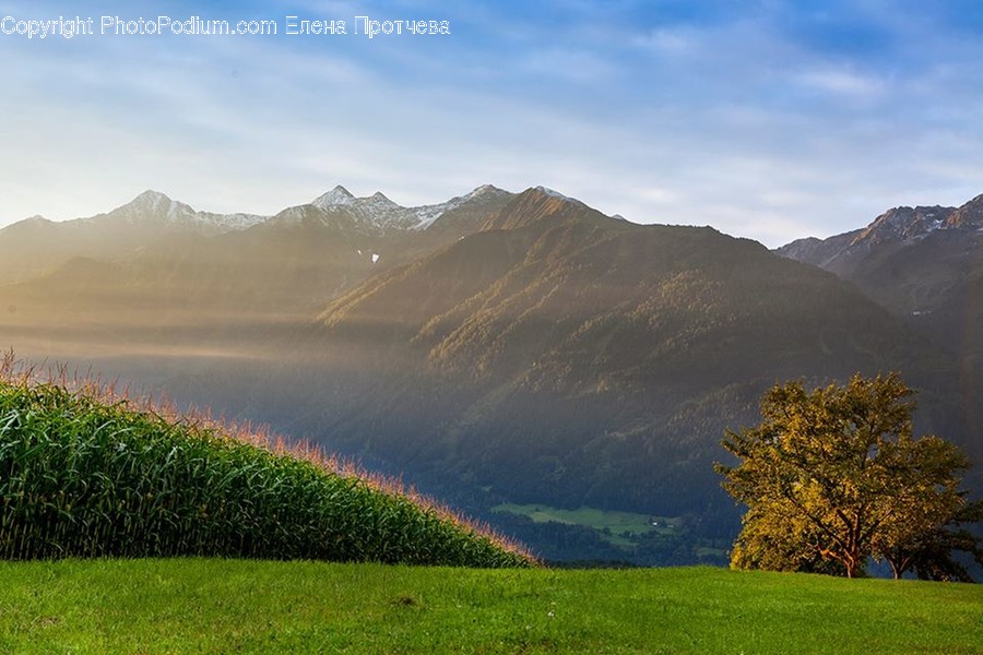 Grass, Plant, Nature, Outdoors, Mountain Range