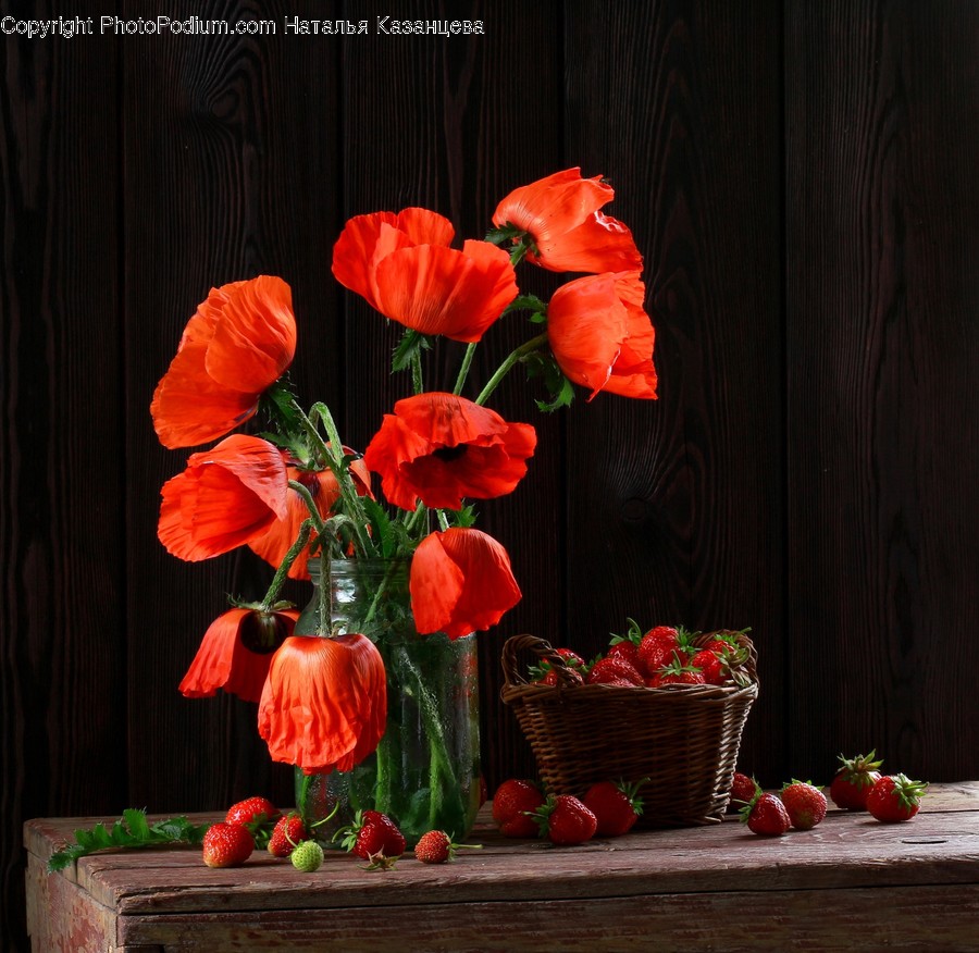 Plant, Blossom, Flower, Flower Arrangement, Flower Bouquet