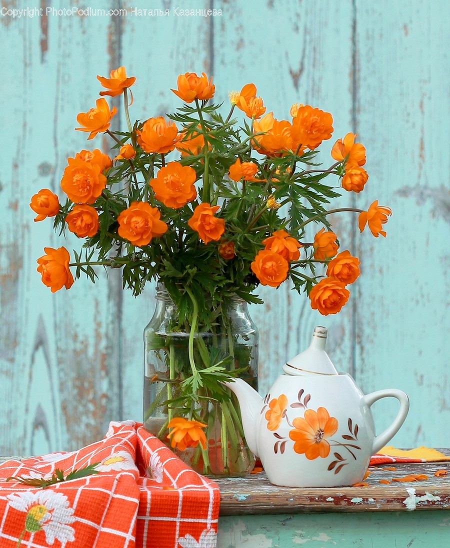 Pottery, Plant, Blossom, Flower Arrangement, Flower