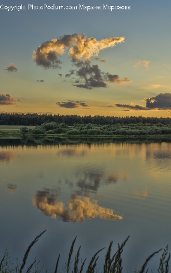Nature, Outdoors, Water, Sky, Bird