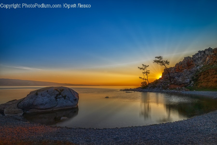 Nature, Outdoors, Reptile, Turtle, Sea Life
