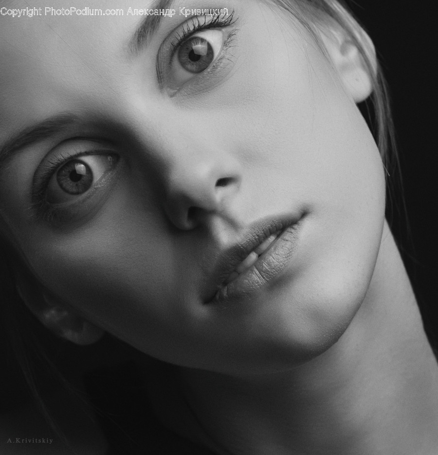 Person, Face, Human, Head, Portrait
