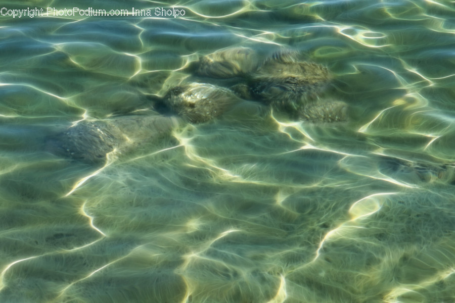 Water, Nature, Outdoors, Sea, Ocean