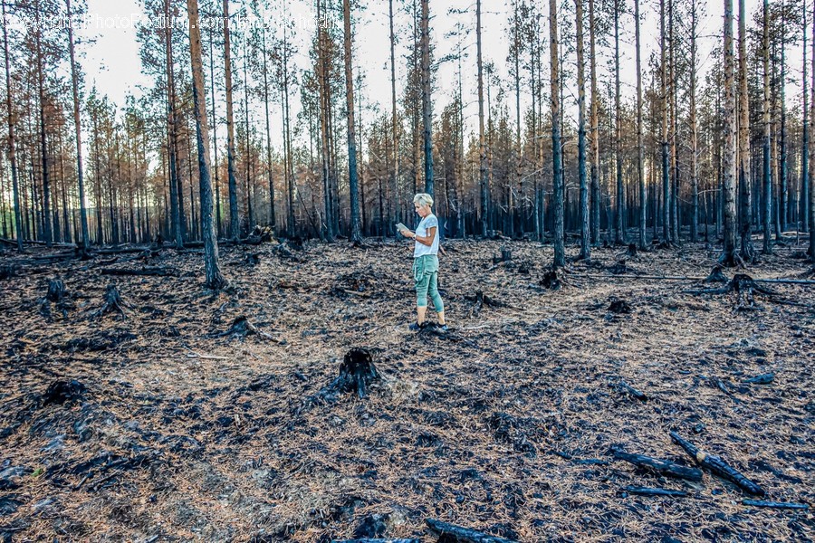 Ground, Person, Human, Land, Outdoors