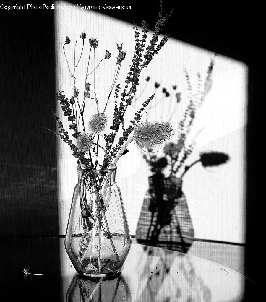Pottery, Jar, Vase, Potted Plant, Plant