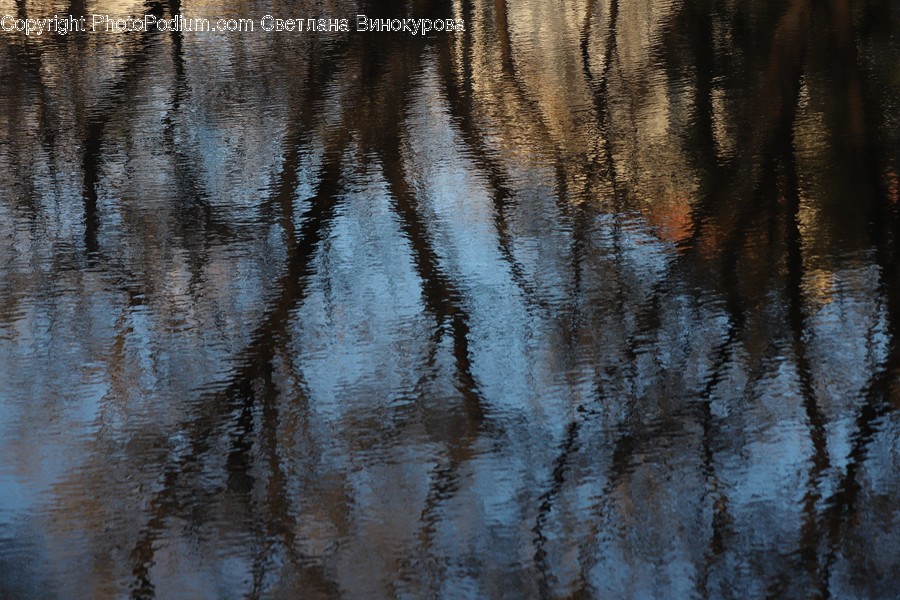 Water, Outdoors, Ripple, Plant, Land