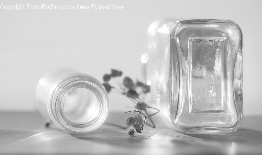 Invertebrate, Animal, Insect, Ant, Bottle