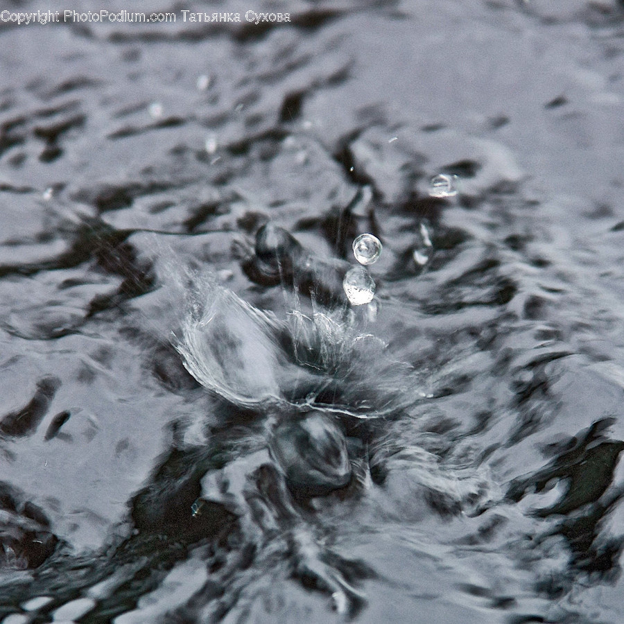 Water, Outdoors, Ripple, Animal, Arachnid