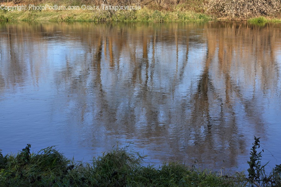 Outdoors, Land, Nature, Water, Marsh