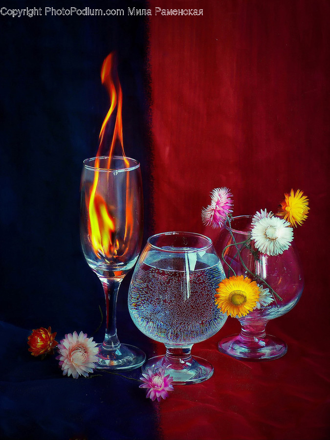 Glass, Goblet, Plant, Flower, Blossom