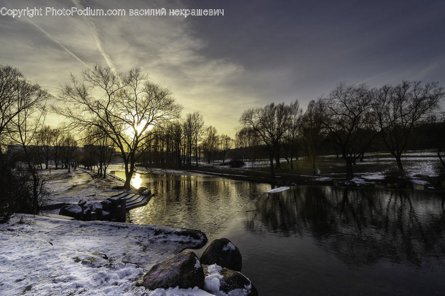 Nature, Water, Outdoors, Wood, Flare
