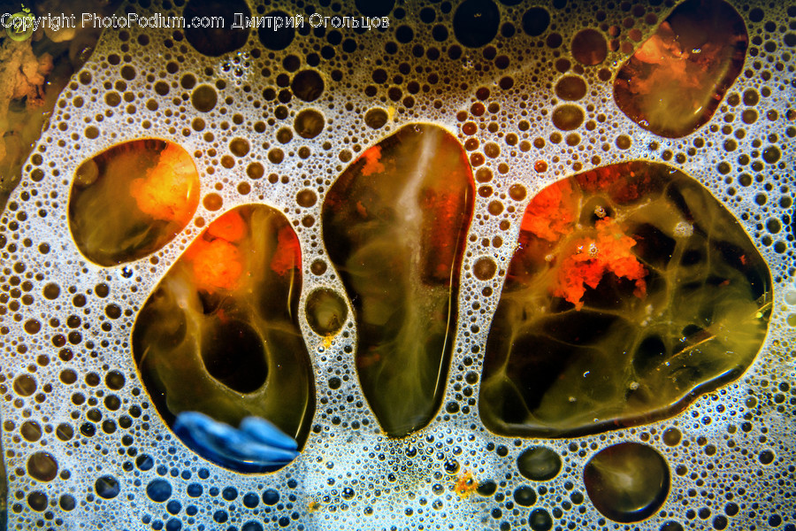 Ornament, Pattern, Fractal, Mold