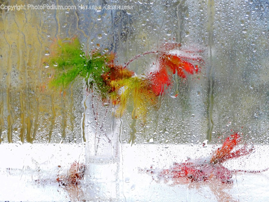 Leaf, Plant, Tree, Maple, Art