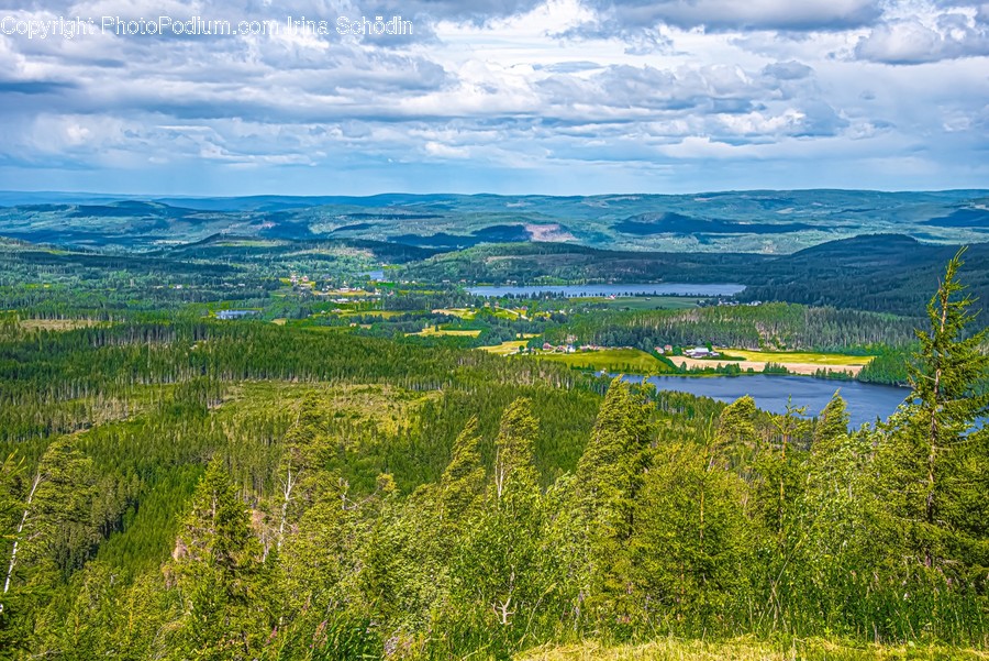 Nature, Outdoors, Water, Land, Weather