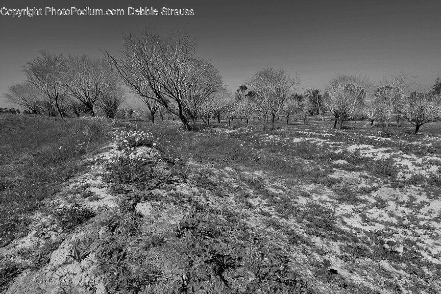 Ground, Nature, Outdoors, Countryside, Building