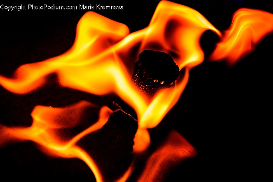 Fire, Flame, Food, Animal, Sea Life