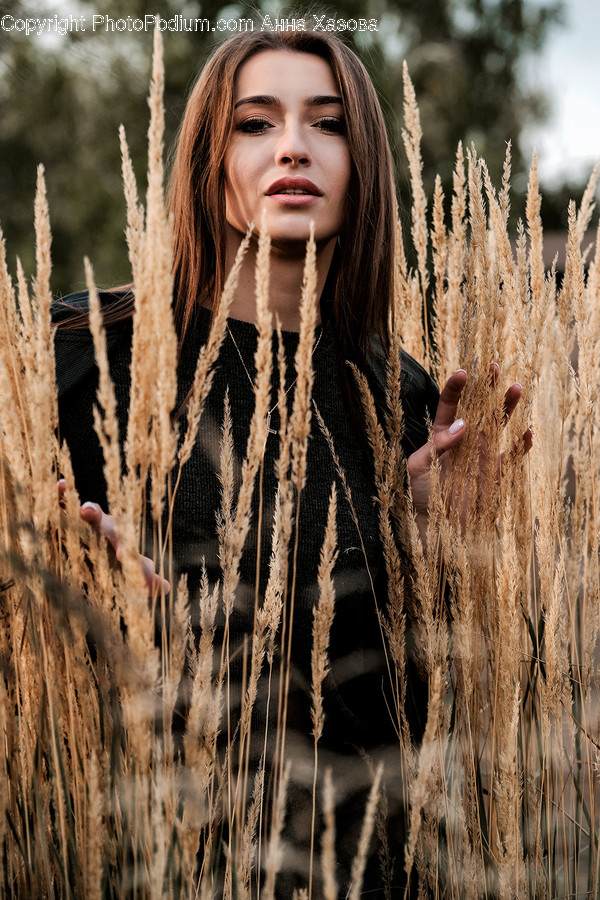 Plant, Grass, Lawn, Reed, Person