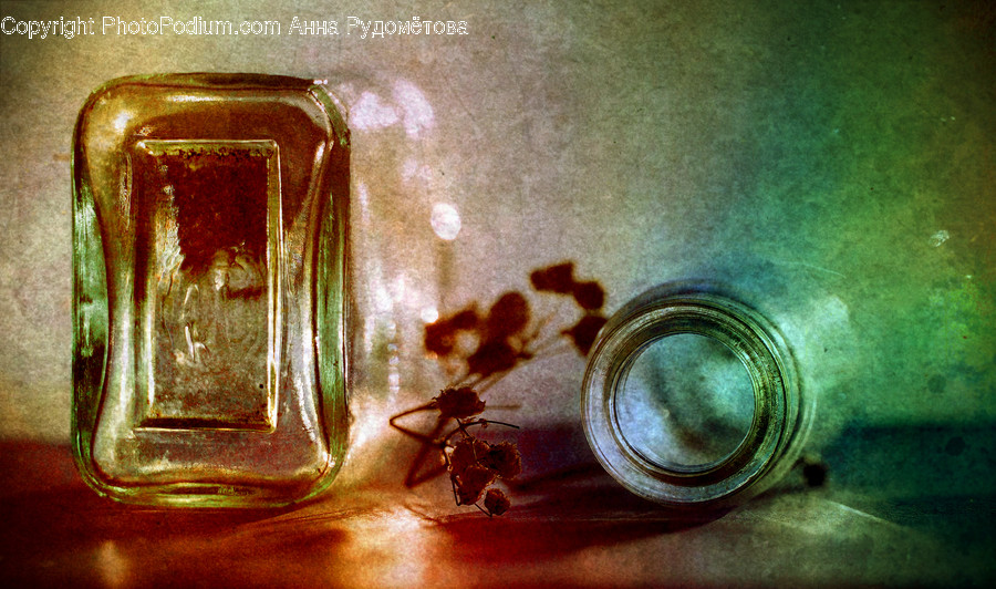 Bottle, Insect, Animal, Invertebrate, Cosmetics