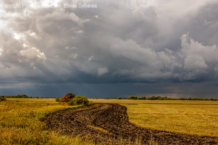 Nature, Outdoors, Field, Grassland, Weather