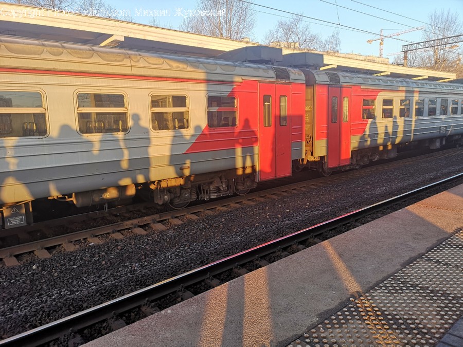 Train, Transportation, Vehicle, Rail, Railway