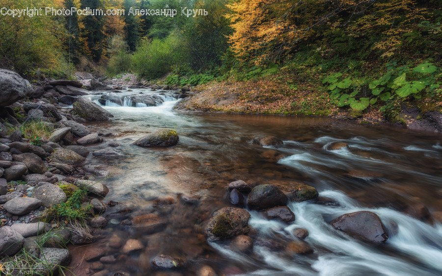 Water, Nature, Stream, Outdoors, Creek