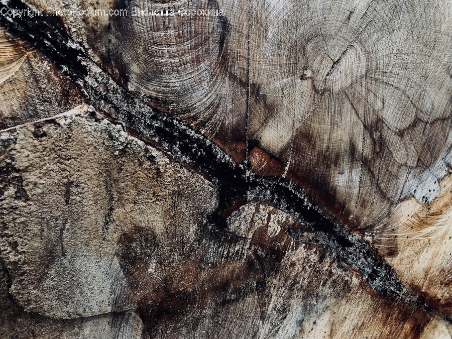 Rock, Art, Tree, Plant, Texture