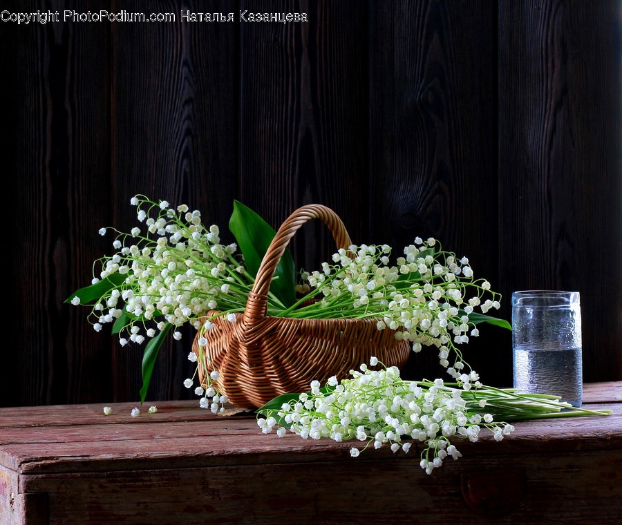 Basket, Plant, Flower, Blossom, Wood