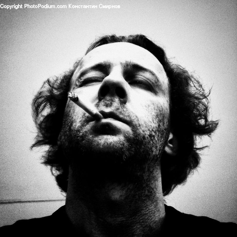 Beard, Hair, Person, Portrait, Selfie, Head