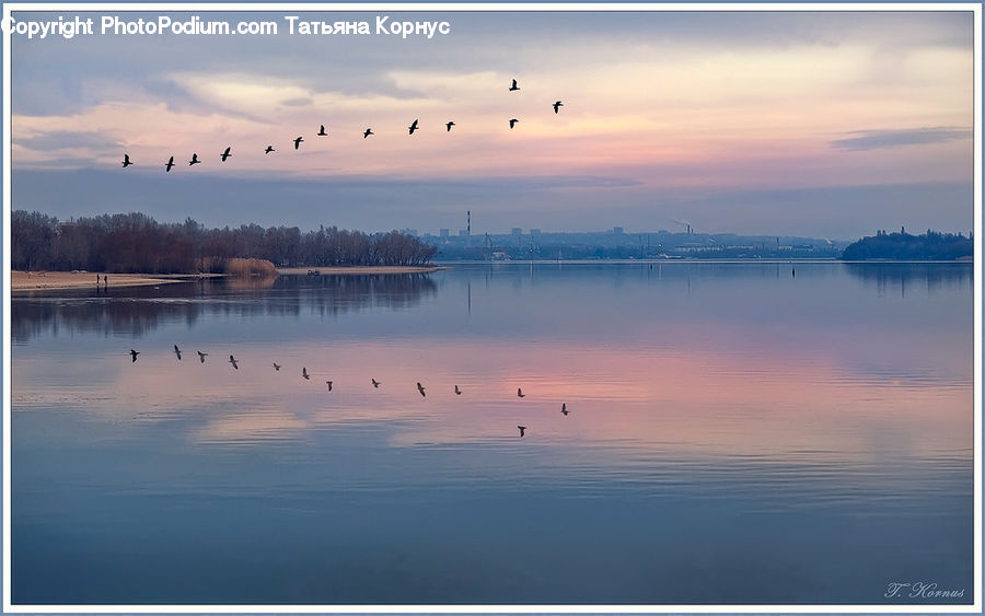 Lake, Outdoors, Water, Lagoon, Harbor, Port, Waterfront