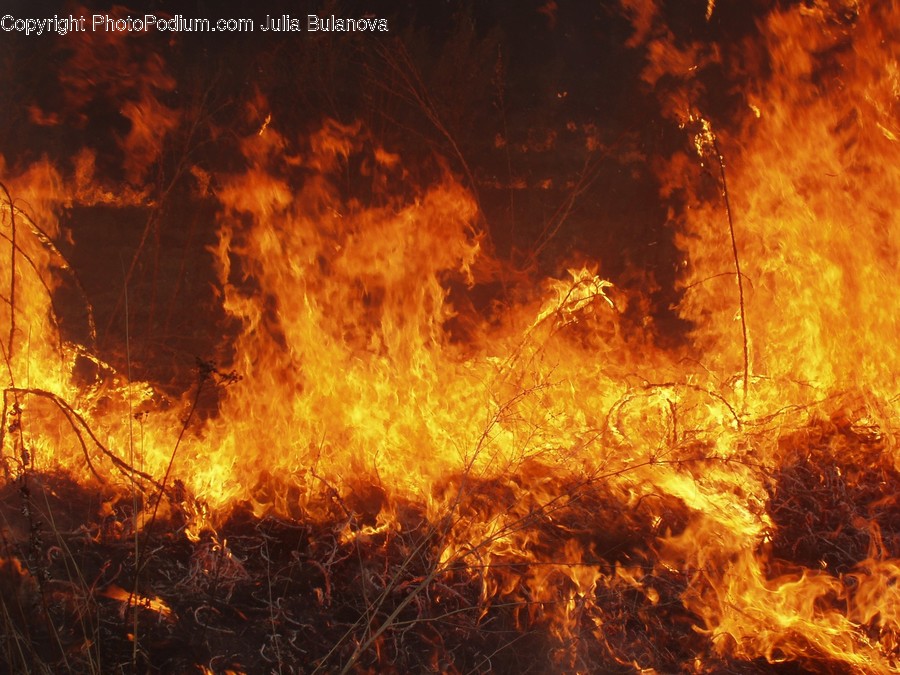 Fire, Flame, Bonfire, Forest Fire