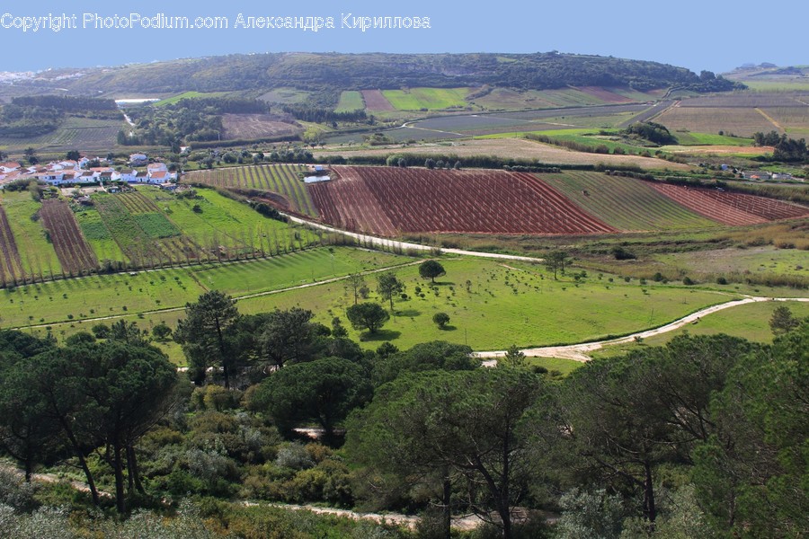 Nature, Outdoors, Scenery, Field, Landscape
