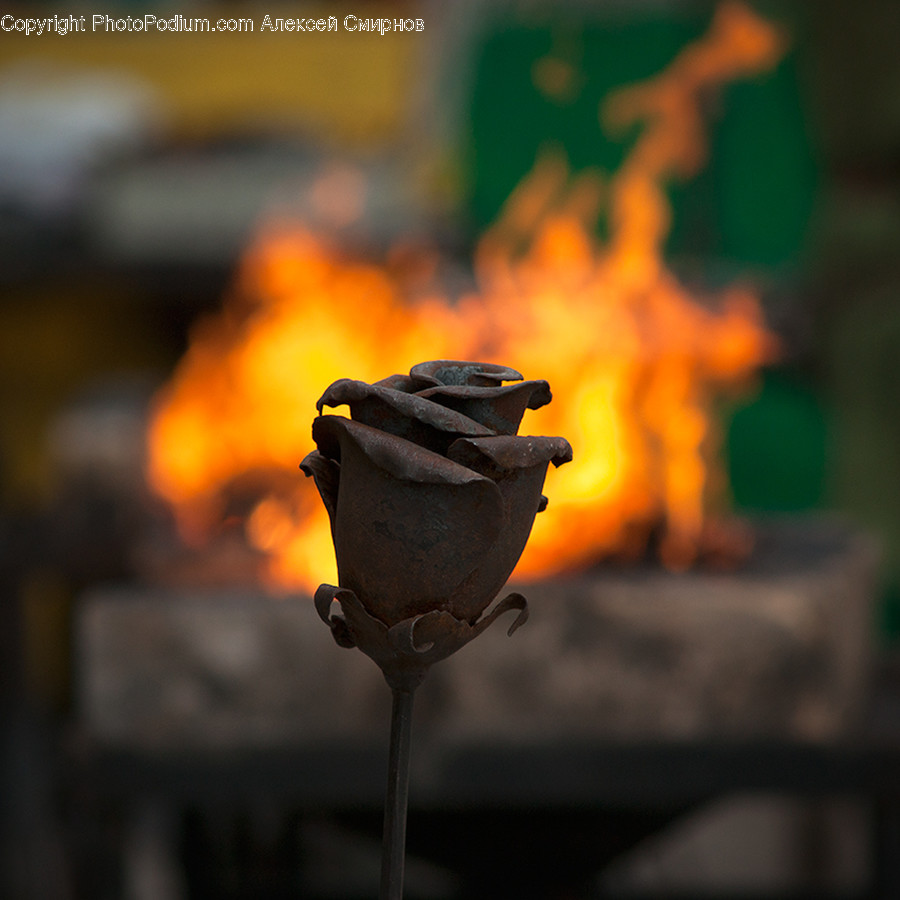 Fire, Flame, Goblet, Glass, Plant