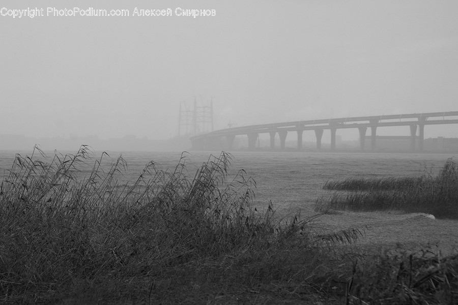 Nature, Weather, Fog, Outdoors, Mist