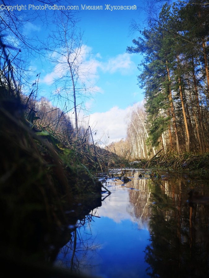 Ditch, Water, Nature, Outdoors, Land