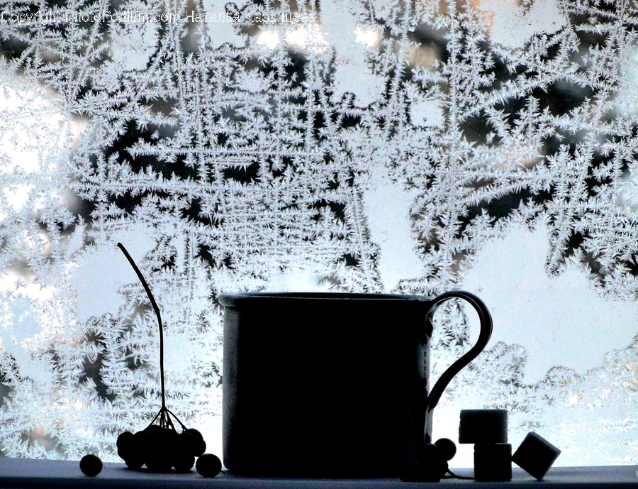 Coffee Cup, Cup, Plant, Flower, Blossom