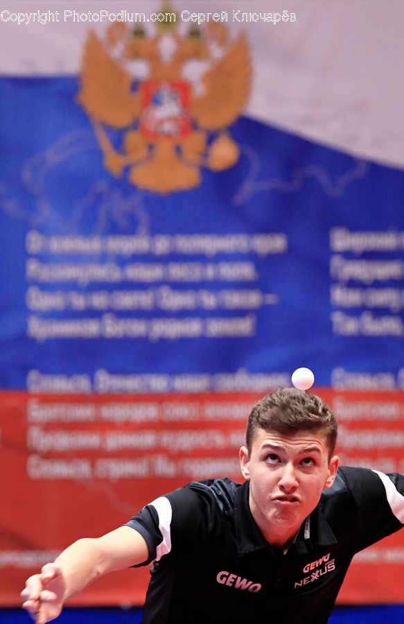 Person, Human, Sport, Ping Pong, Sports