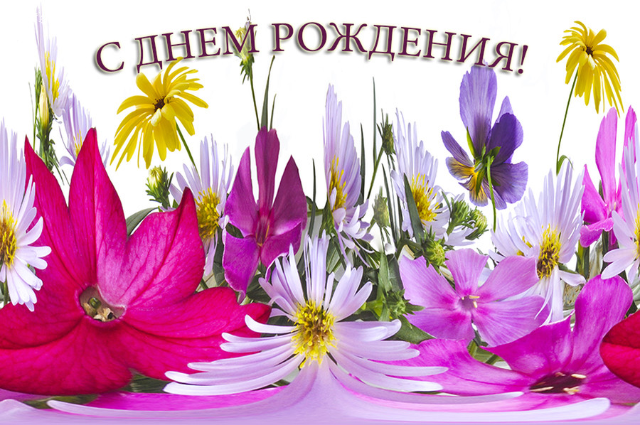 Plant, Blossom, Flower, Graphics, Art