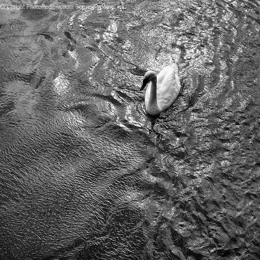 Outdoors, Water, Nature, Ripple, Sand
