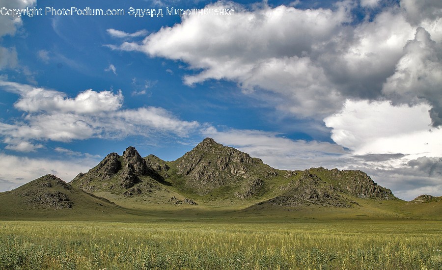 Nature, Outdoors, Field, Grassland, Countryside