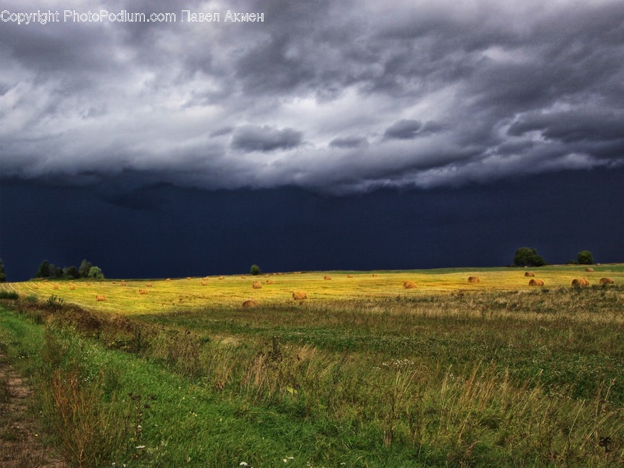 Nature, Outdoors, Weather, Field, Grassland