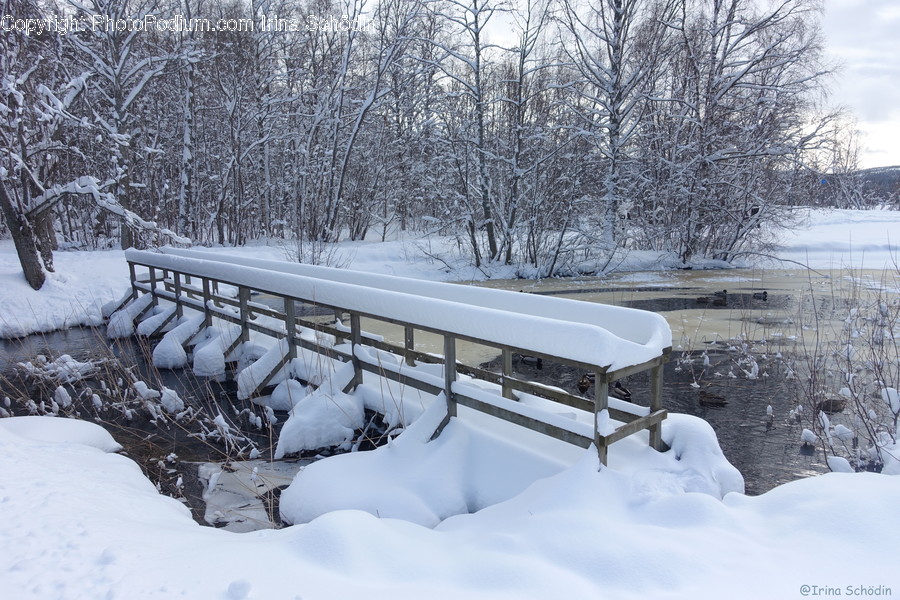 Nature, Storm, Winter, Outdoors, Snow