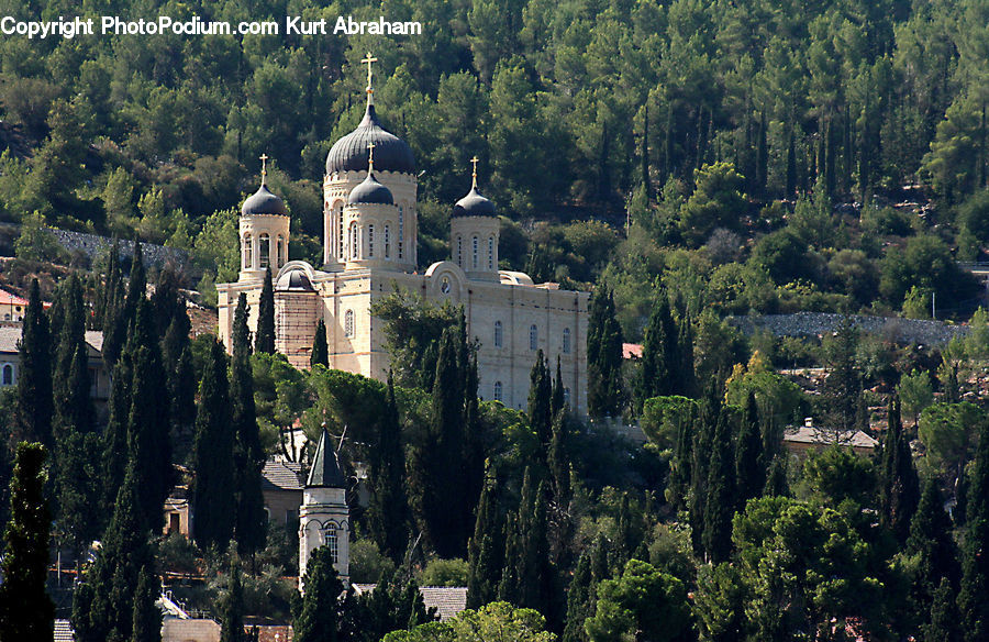 Architecture, Housing, Monastery, Castle, Fort, Bell Tower, Clock Tower