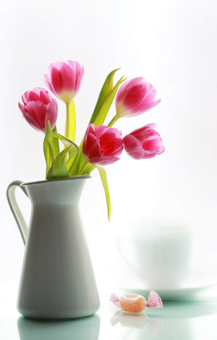 Plant, Flower, Blossom, Flower Arrangement, Ikebana