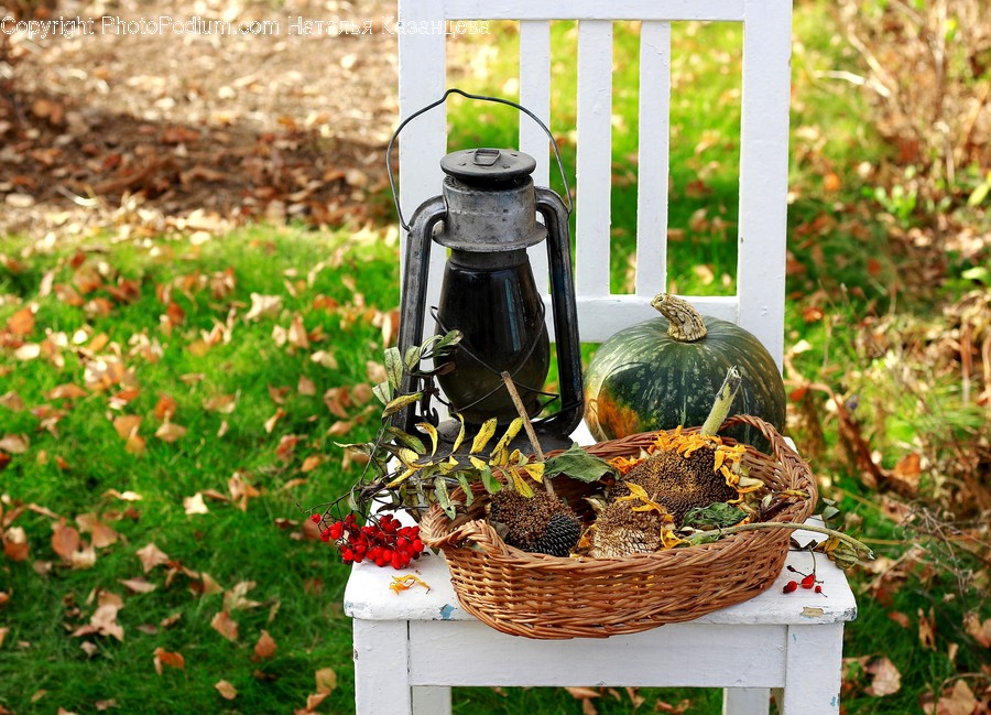 Plant, Grass, Basket, Sphere, Jar
