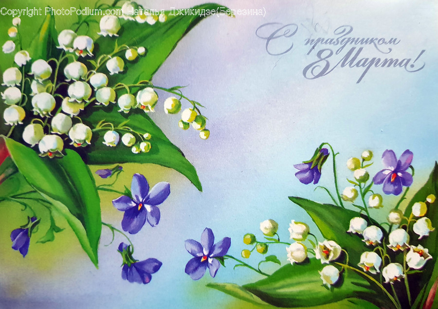 Art, Floral Design, Pattern, Graphics, Bird