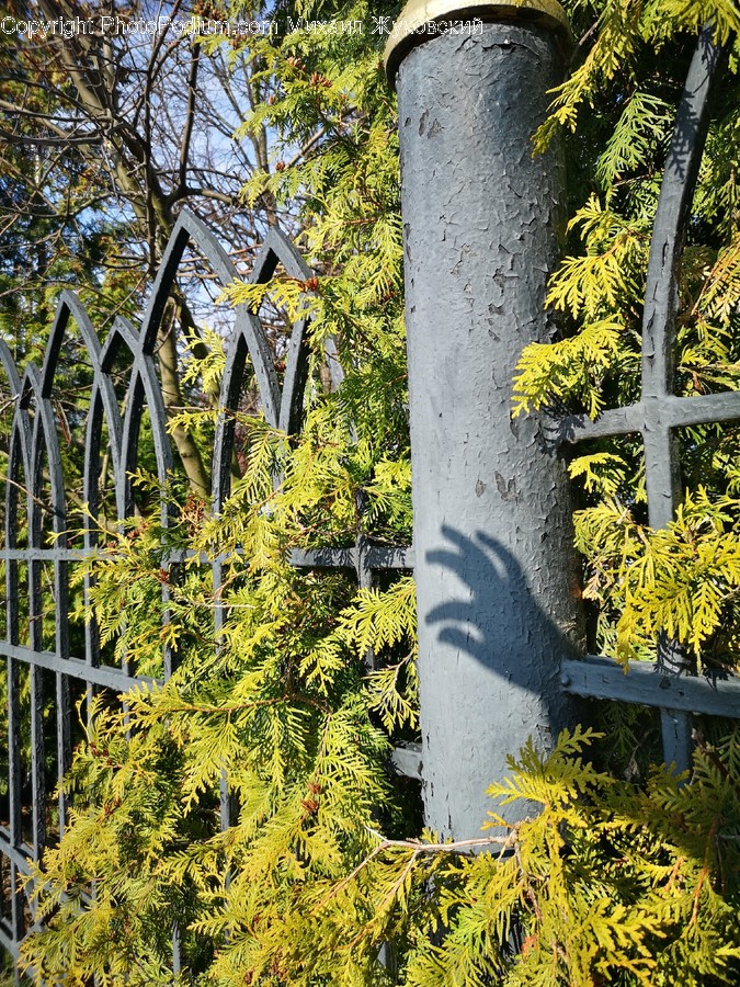 Plant, Symbol, Cross, Tree