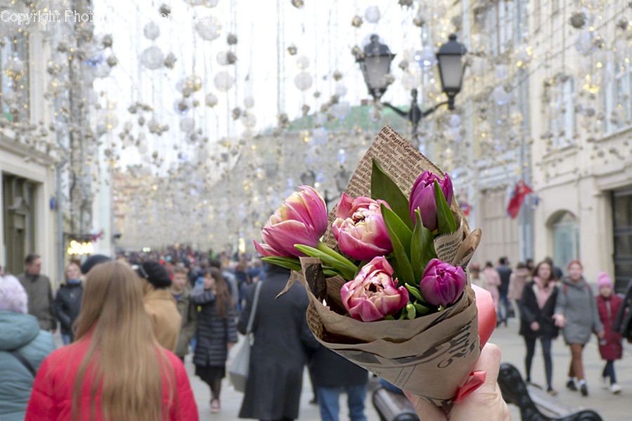 Human, Person, Plant, Flower Bouquet, Blossom