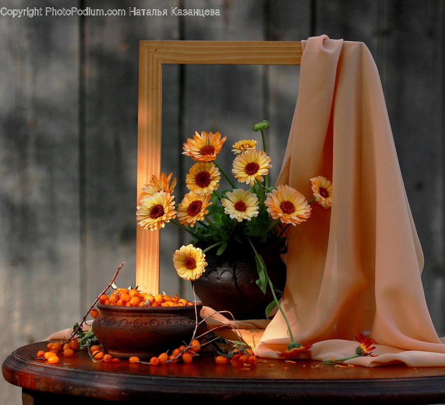 Plant, Flower, Blossom, Flower Arrangement, Flower Bouquet