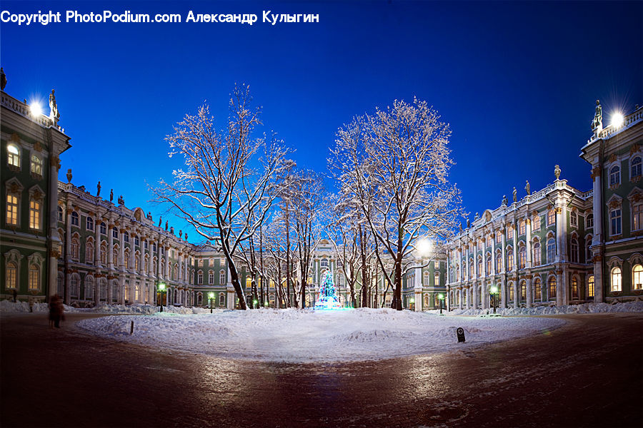 Campus, Night, Outdoors, City, Downtown, Metropolis, Urban