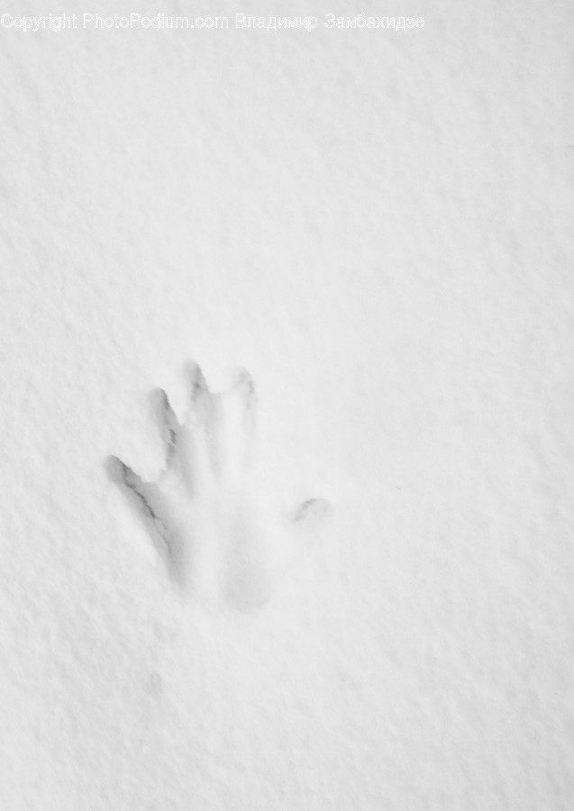 Footprint